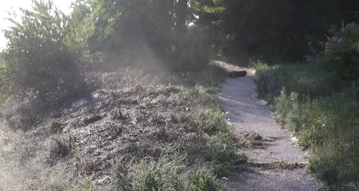 Brandweer bestrijdt flinke duinbrand - Foto 2