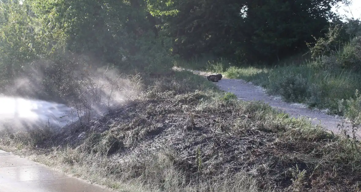 Brandweer bestrijdt flinke duinbrand - Foto 3