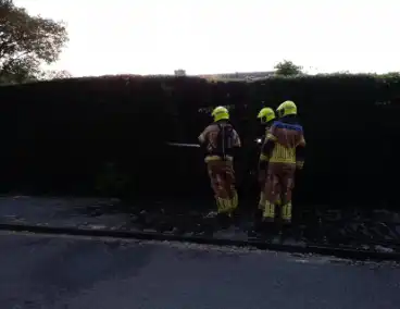 Bosschages vatten vlam na brandstichting