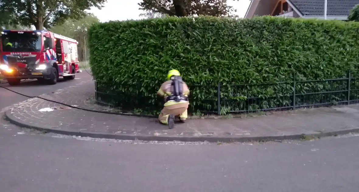 Bosschages vatten vlam na brandstichting - Foto 1
