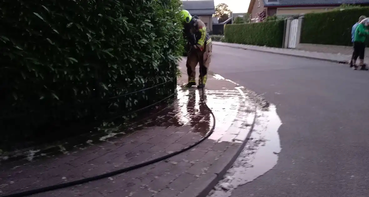 Bosschages vatten vlam na brandstichting - Foto 3