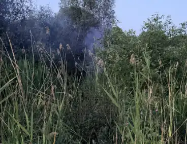 Buitenbrand langs fietspad