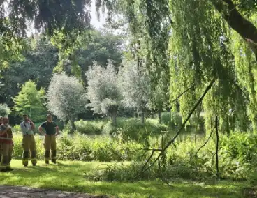 Takken breken af na natuurincident