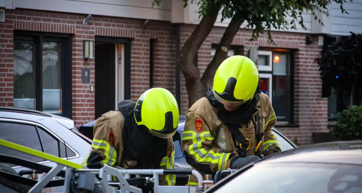 Brandweer redt kat uit boom na mislukte poging van omstander - Foto 11