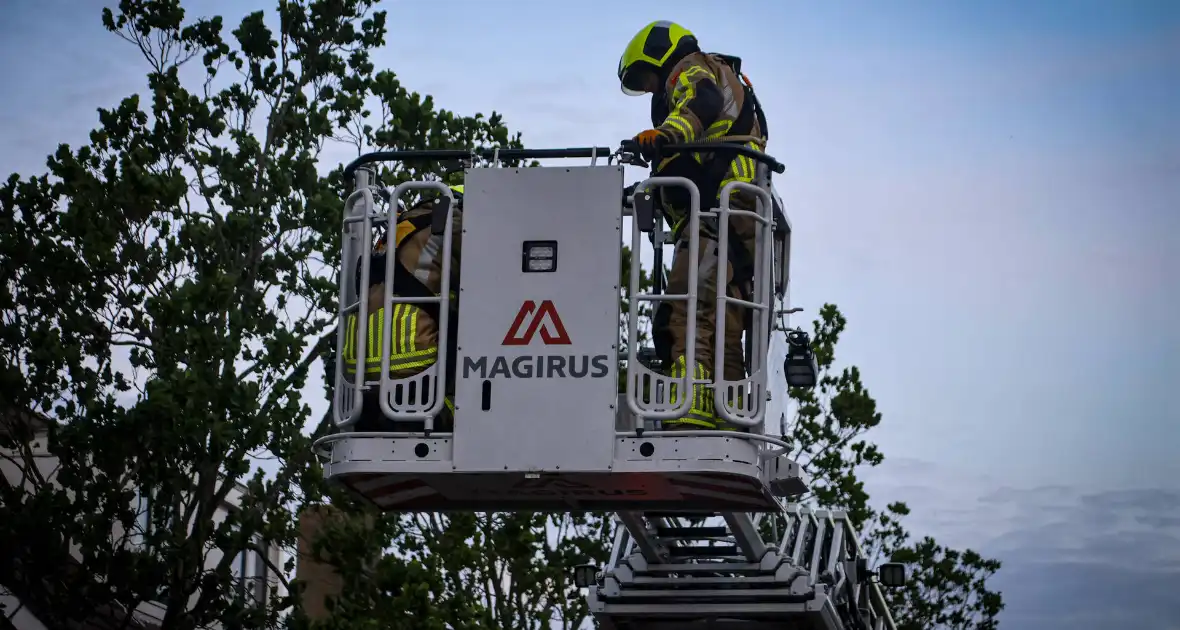 Brandweer redt kat uit boom na mislukte poging van omstander - Foto 14
