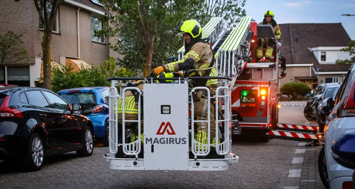 Brandweer redt kat uit boom na mislukte poging van omstander - Foto 17
