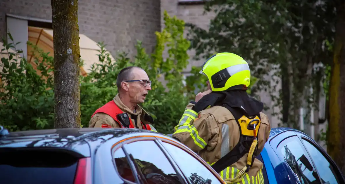 Brandweer redt kat uit boom na mislukte poging van omstander - Foto 7