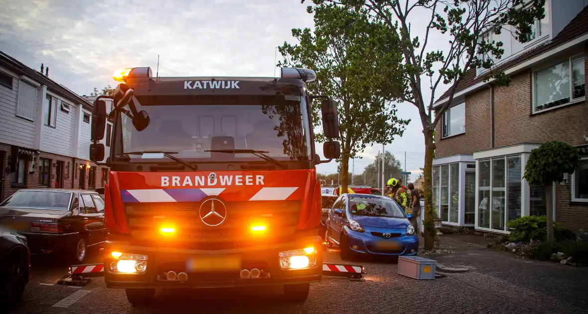 Brandweer redt kat uit boom na mislukte poging van omstander - Foto 8