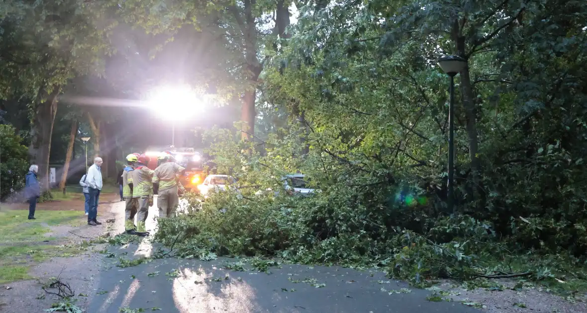 Boom valt op geparkeerde auto