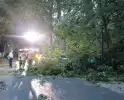Boom valt op geparkeerde auto