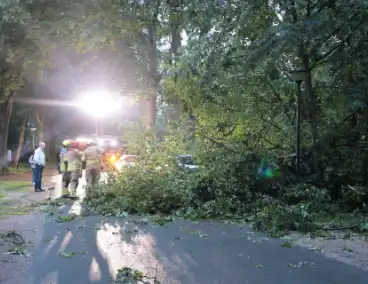 Boom valt op geparkeerde auto