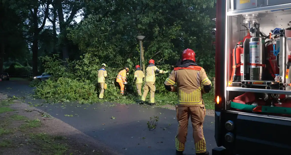 Boom valt op geparkeerde auto - Foto 4