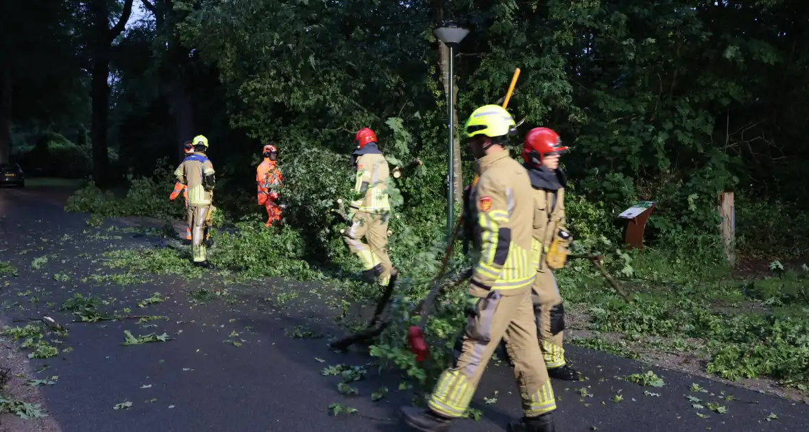 Boom valt op geparkeerde auto - Foto 7