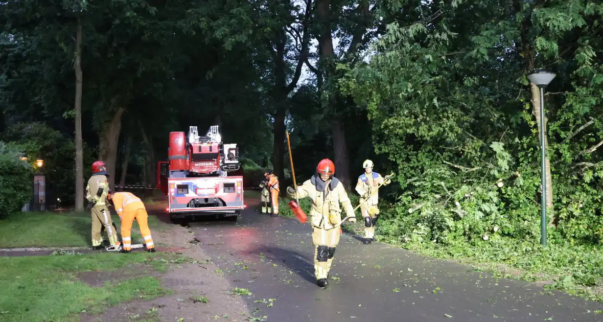 Boom valt op geparkeerde auto - Foto 8