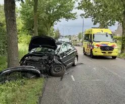 Auto total-loss na raken van bomen en bord