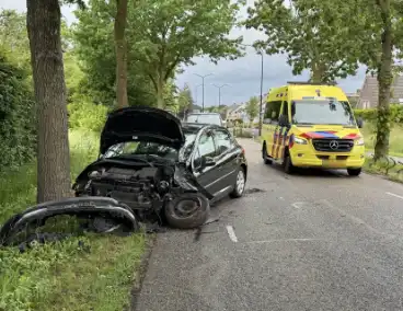 Auto total-loss na raken van bomen en bord