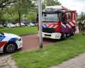 Eten in oven veroorzaakt brand