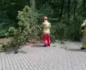 Brandweer ingeschakeld voor stormschade