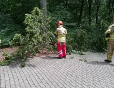 Brandweer ingeschakeld voor stormschade