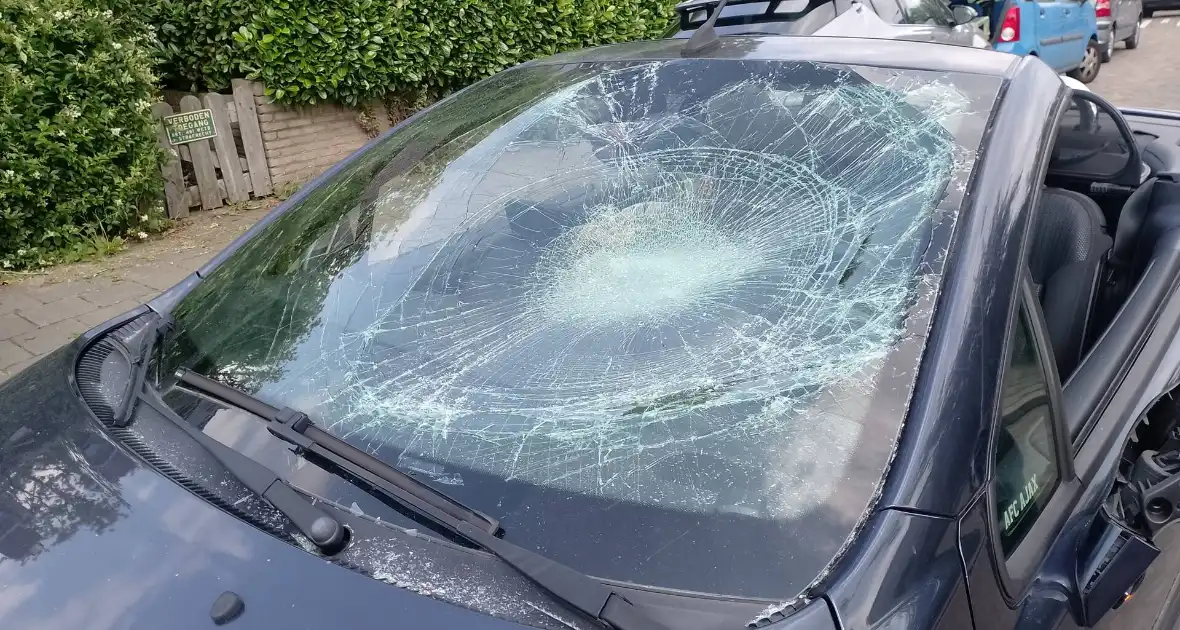 Ongeval tussen auto en speedpedelec - Foto 2