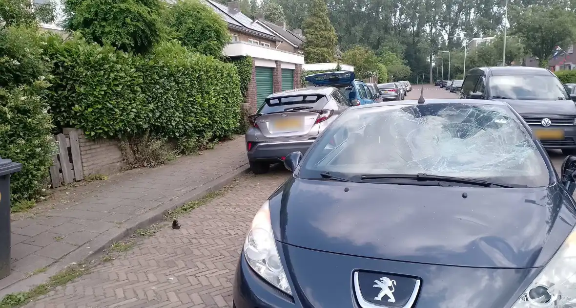 Ongeval tussen auto en speedpedelec - Foto 6