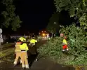 Bomen omgewaaid door storm en vernielen lantaarnpaal