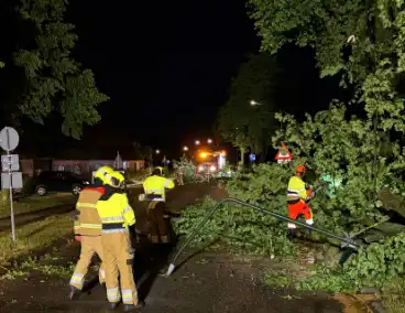 Bomen omgewaaid door storm en vernielen lantaarnpaal