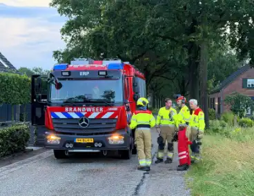 Omgevallen boom veroorzaakt schade