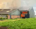 Brand in koeienstal leidt tot aanzienlijke schade