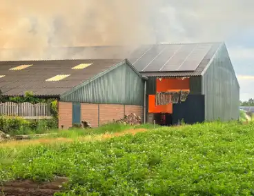 Brand in koeienstal leidt tot aanzienlijke schade