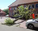 Verrotte boom valt op auto en tegen woning