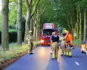 Gevaarlijke tak valt uit boom en raakt fietspad