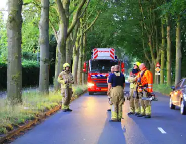 Gevaarlijke tak valt uit boom en raakt fietspad