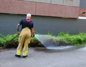 Brandweer dooft brand in bosschages