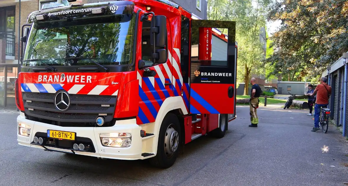 Brandweer dooft brand in bosschages - Foto 1