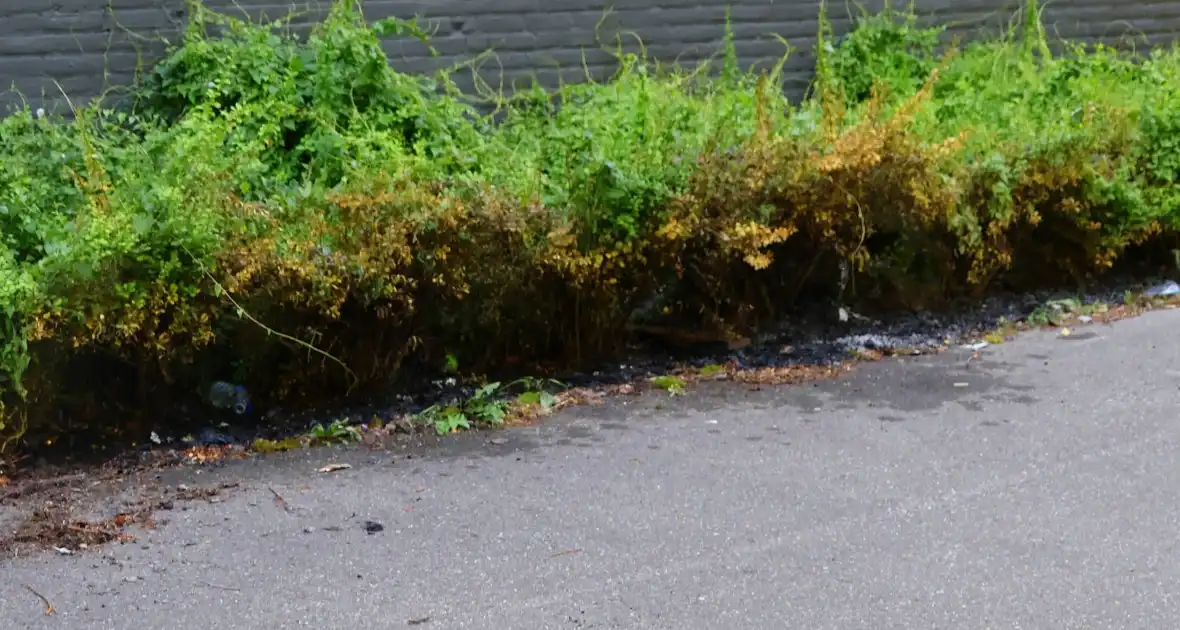 Brandweer dooft brand in bosschages - Foto 5