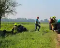 Auto belandt in sloot na botsing met bestelbus