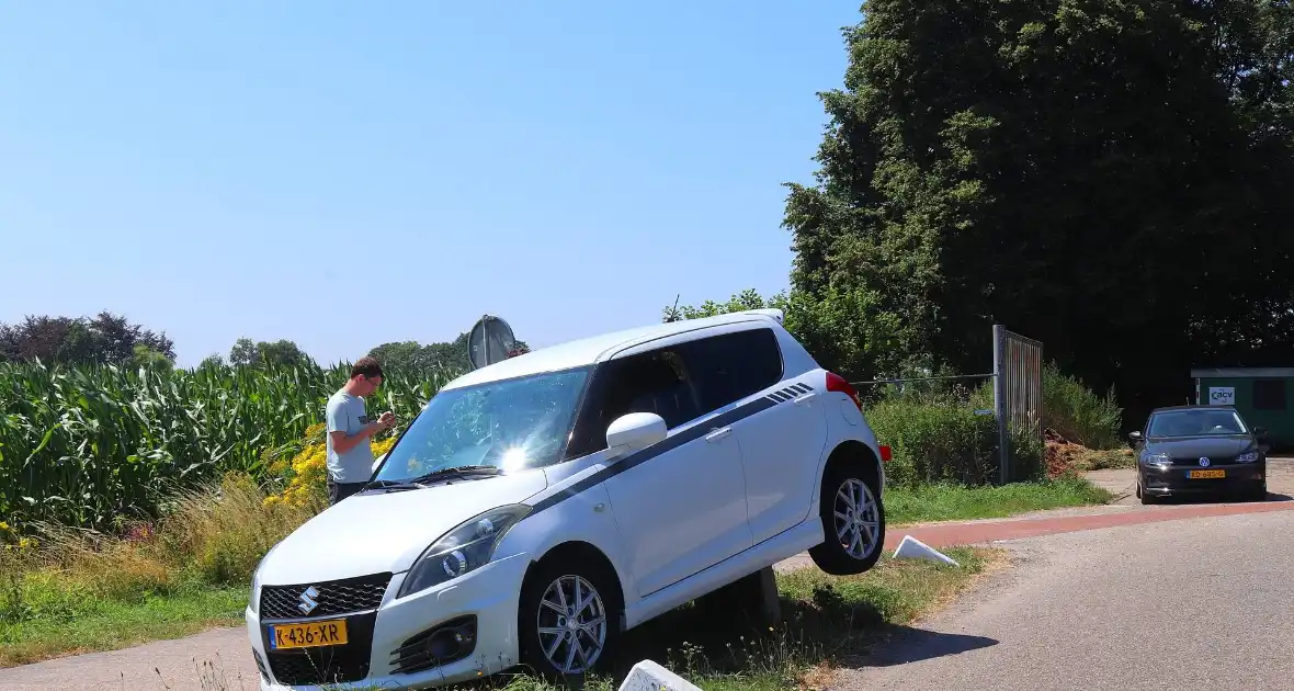 Auto belandt op varkensrug