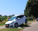 Auto belandt op varkensrug