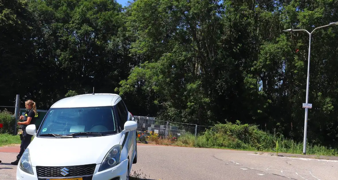 Auto belandt op varkensrug - Foto 3