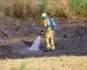 Brand in havengebied verwoest berm en bos