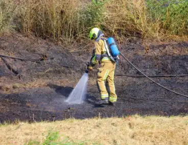 Brand in havengebied verwoest berm en bos