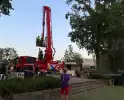 Brandweer verwijdert gevaarlijke tak