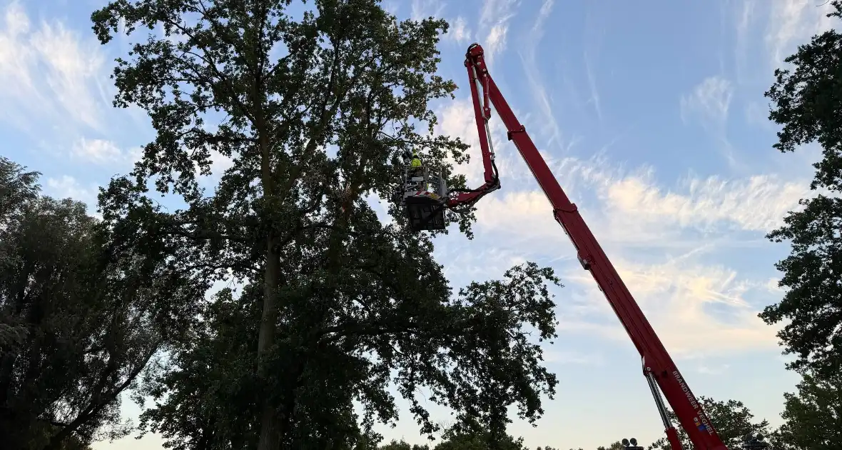 Brandweer verwijdert gevaarlijke tak - Foto 5