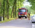Omstanders blussen brand in bosgebied