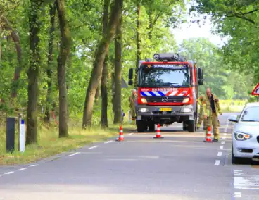 Omstanders blussen brand in bosgebied