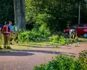 Tak valt uit boom en blokkeert weg