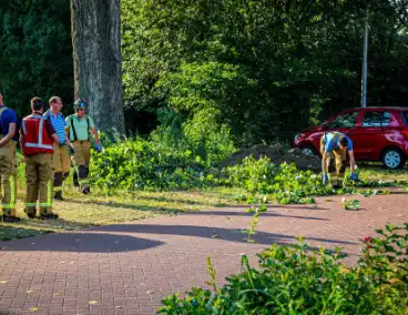 Tak valt uit boom en blokkeert weg