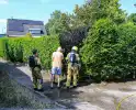 Buitenbrand in coniferenhaag geblust door bewoners