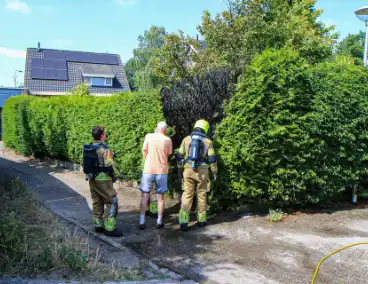 Buitenbrand in coniferenhaag geblust door bewoners